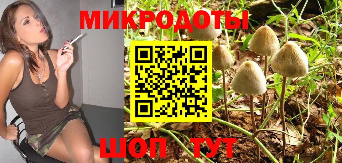 Псилоцибиновые грибы GOLDEN TEACHER  наркотики  Иваново  Галлюциногенные грибы прущие грибы  Вход с VPN 