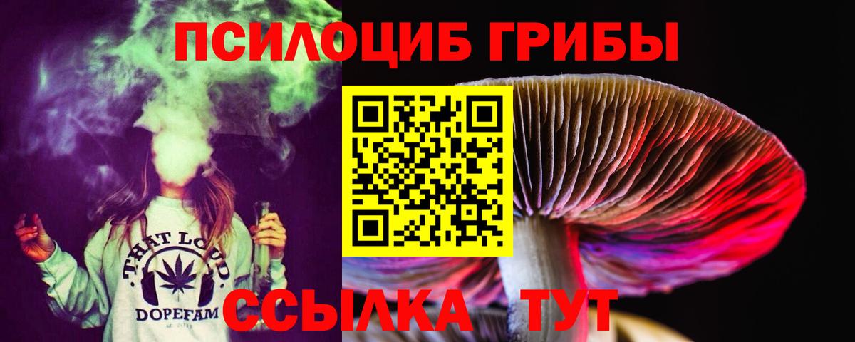 Галлюциногенные грибы Psilocybine cubensis Иваново