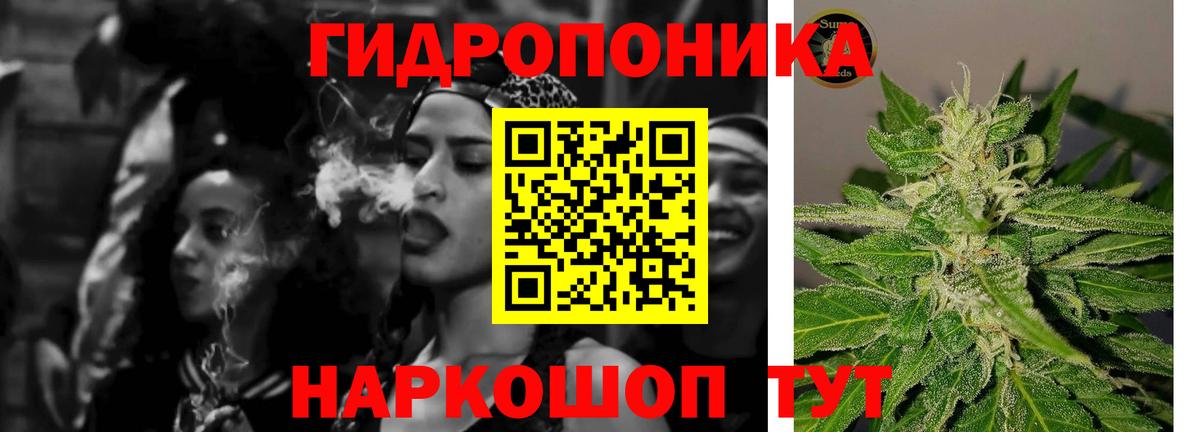 Шишки марихуана семена Иваново